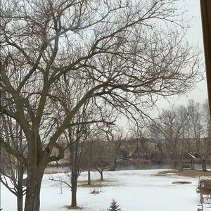 Meet your Posher, Ken